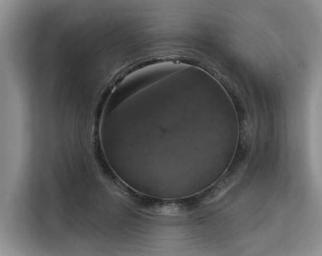 X0000113080600200908281225