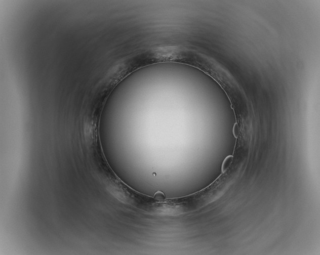 X0000113080601200908281224