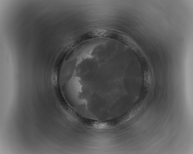 X0000113080602200908281224