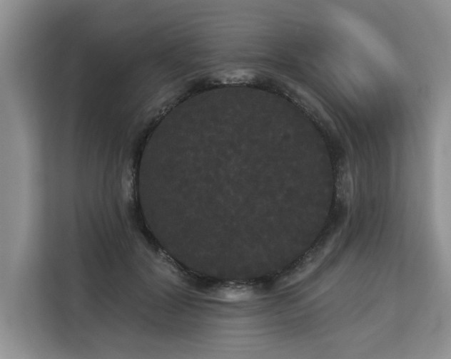 X0000113080604200908281224