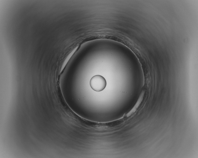 X0000113080605200908281224