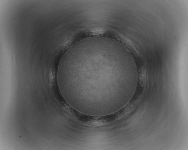 X0000113080608200908281224