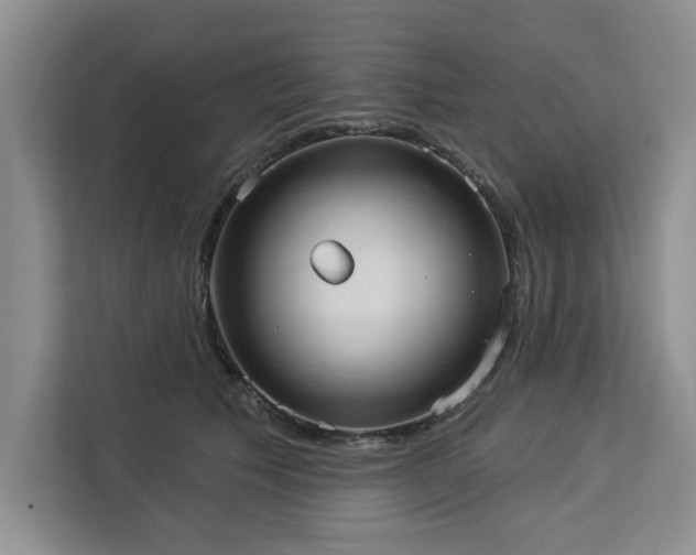 X0000113080609200908281224