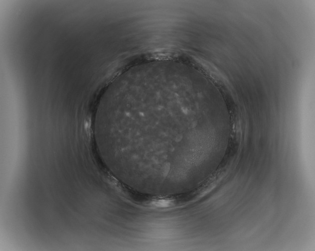 X0000113080610200908281224