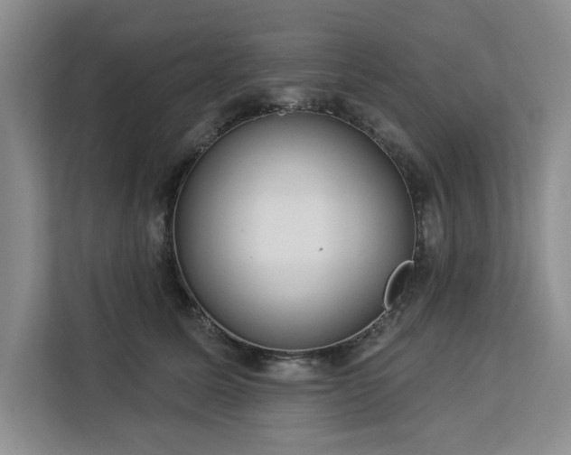 X0000113080611200908281224