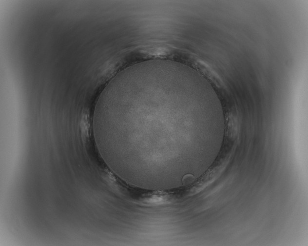 X0000113080612200908281224