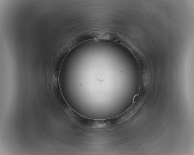 X0000113080613200908281224