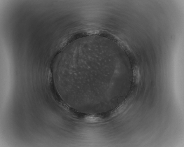 X0000113080614200908281224