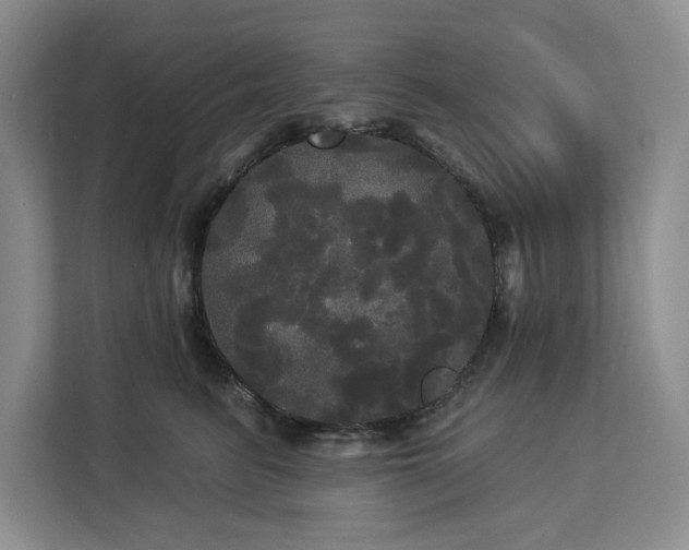 X0000113080615200908281224