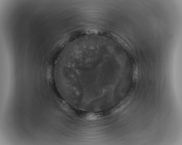 X0000113080616200908281224