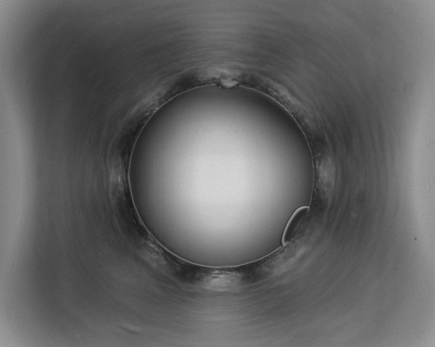 X0000113080617200908281224