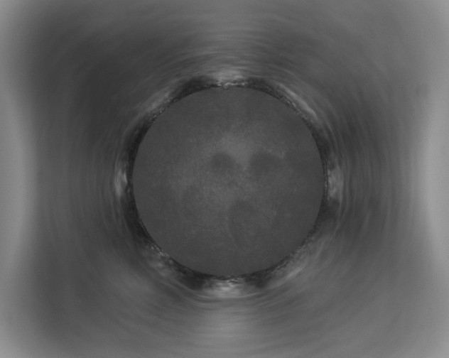 X0000113080618200908281224