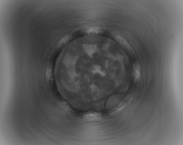 X0000113080619200908281224