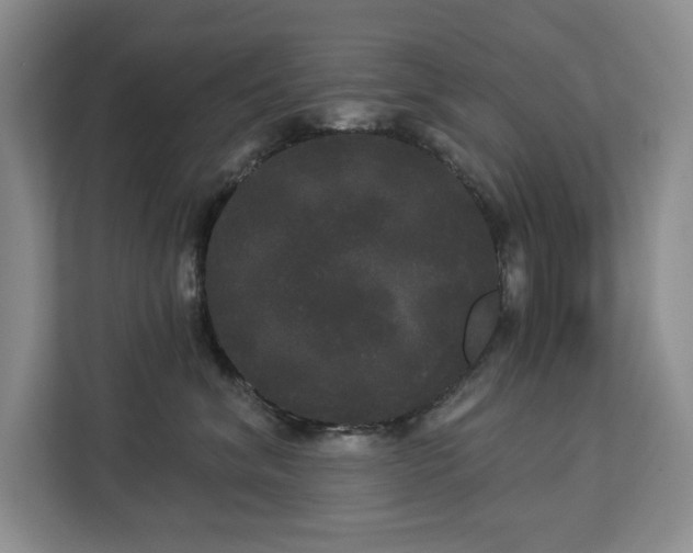 X0000113080620200908281224