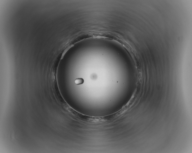 X0000113080621200908281224