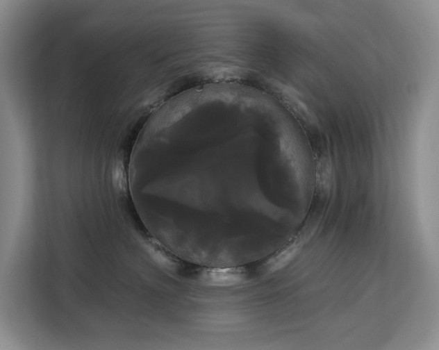 X0000113080622200908281224