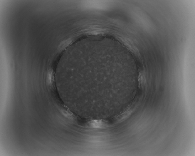 X0000113080623200908281224