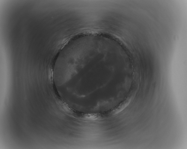 X0000113080624200908281224