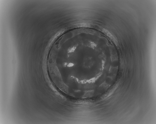 X0000113080625200908281224