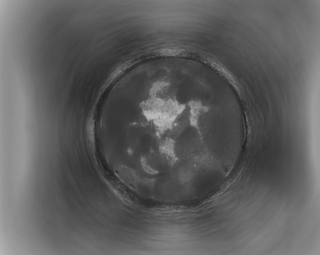 X0000113080626200908281224