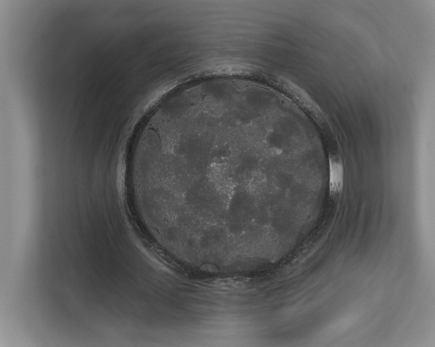 X0000113080627200908281224