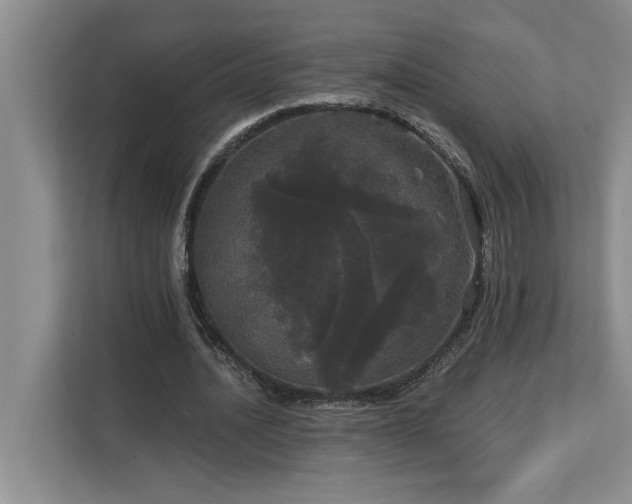 X0000113080628200908281224