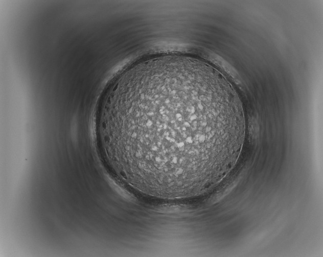 X0000113080629200908281224