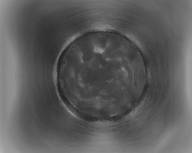 X0000113080630200908281224