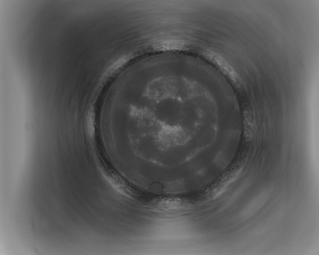 X0000113080631200908281224