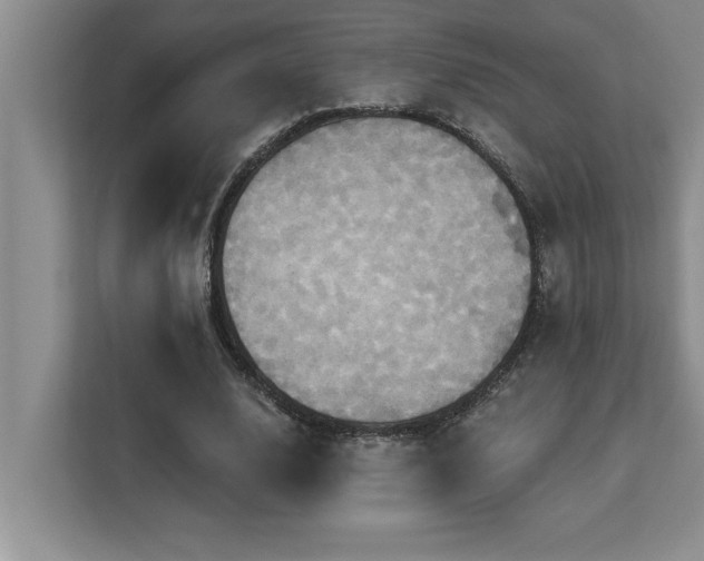 X0000113080632200908281224