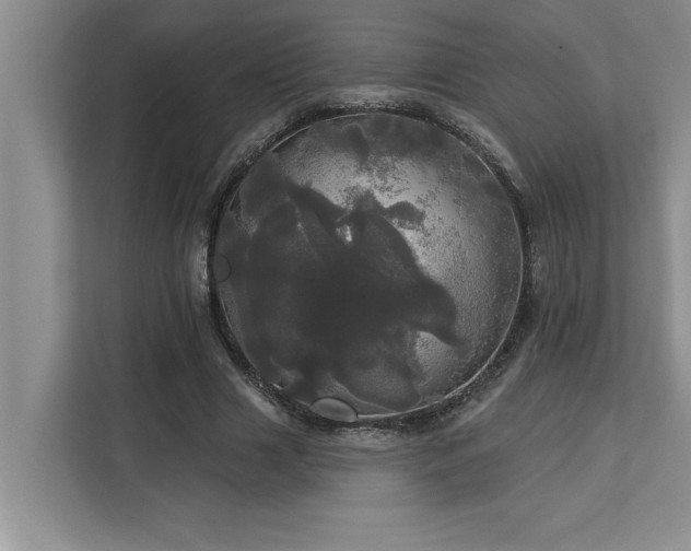 X0000113080633200908281224