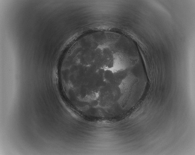 X0000113080634200908281224