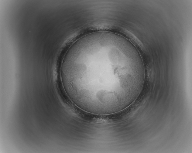 X0000113080635200908281224