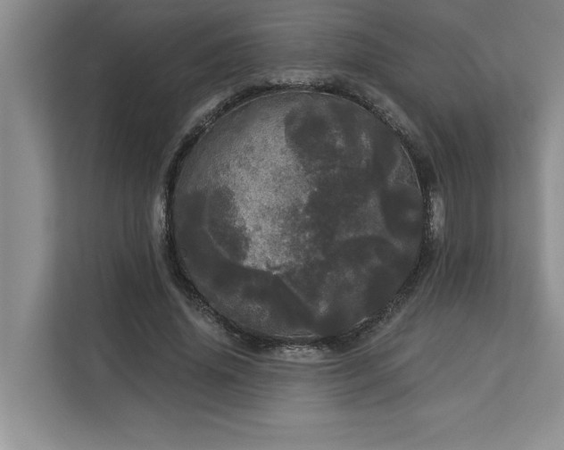 X0000113080636200908281224