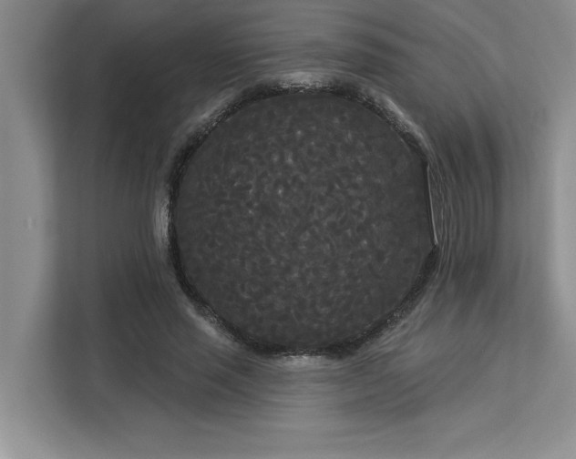 X0000113080637200908281224