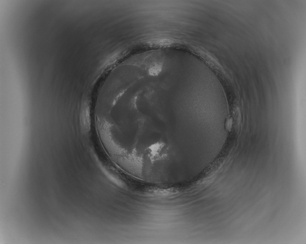 X0000113080638200908281224