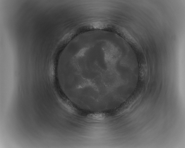 X0000113080639200908281224