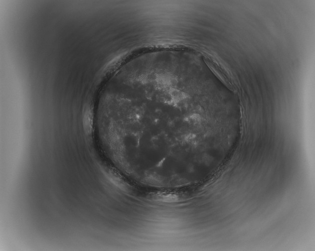 X0000113080640200908281224