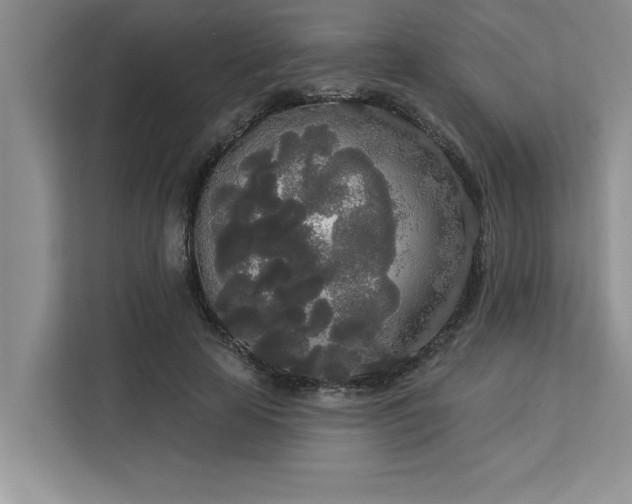 X0000113080641200908281224