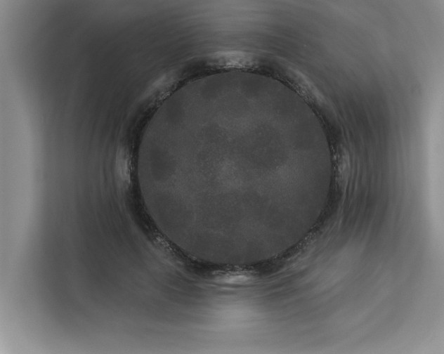 X0000113080643200908281224