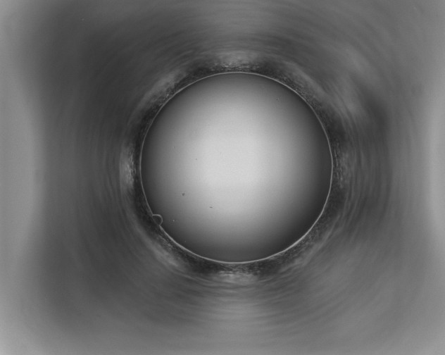 X0000113080644200908281224