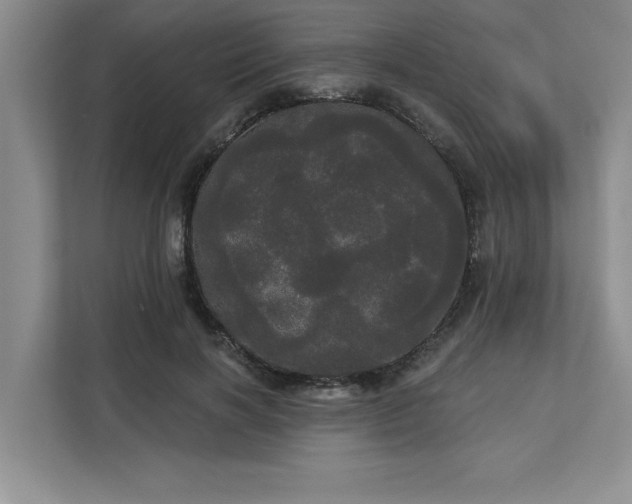 X0000113080646200908281224