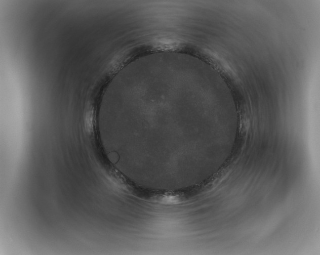 X0000113080647200908281224