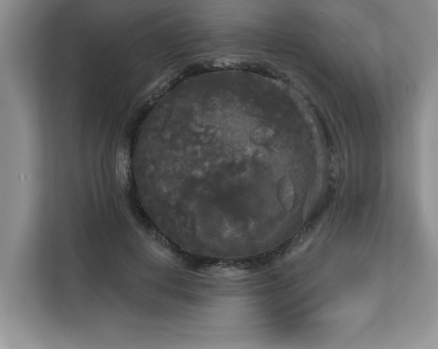 X0000113080648200908281224