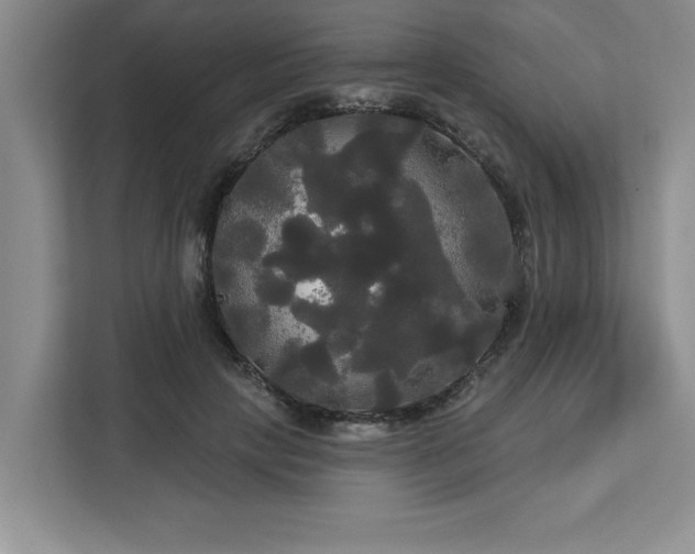 X0000113080649200908281224