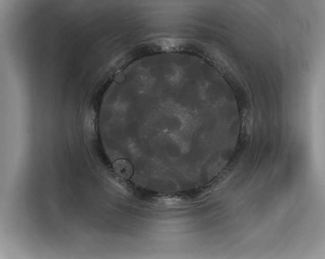 X0000113080650200908281224