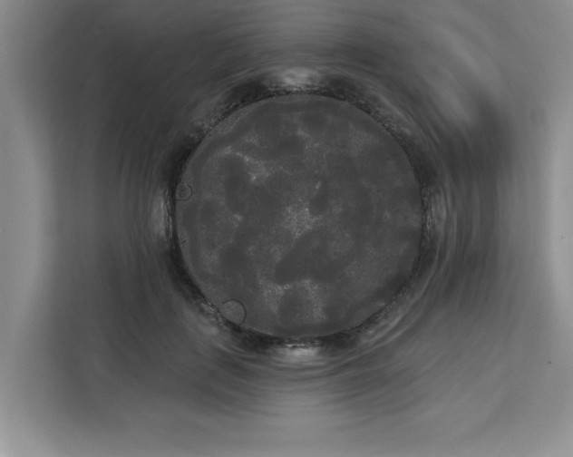 X0000113080651200908281224