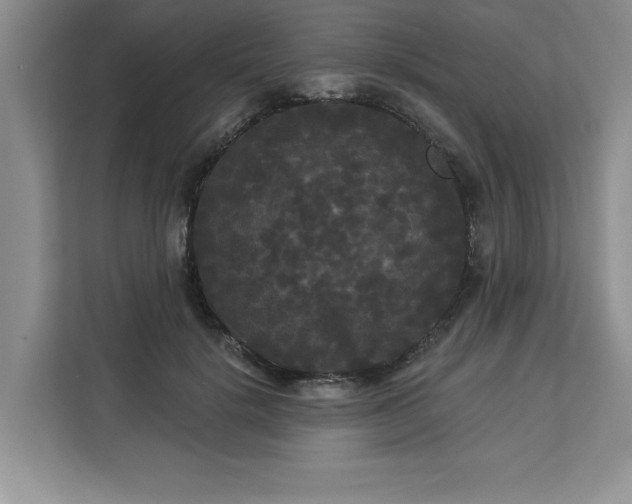 X0000113080652200908281224