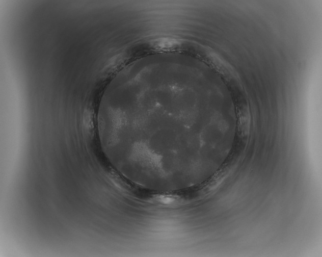 X0000113080654200908281224