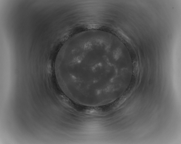 X0000113080655200908281224